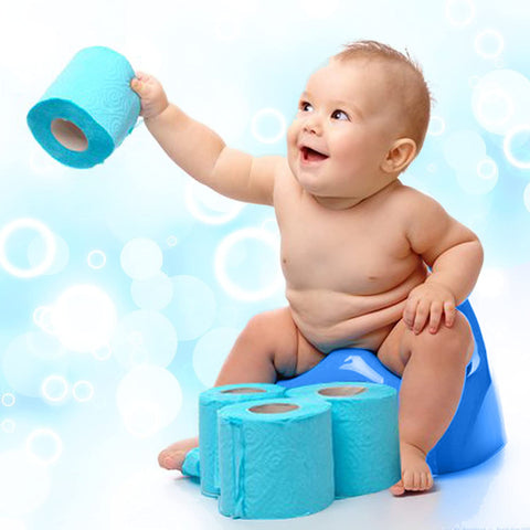Sunbaby Potty Toilet Trainer Seat/Chair with Lid and High Back Support for Toddler Boys Girls Age 7 Months to 3 Years (BLUE-PINK)